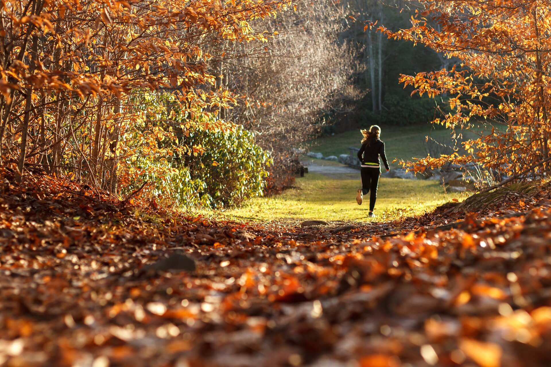 silhouette d'une femme qui coure en forêt